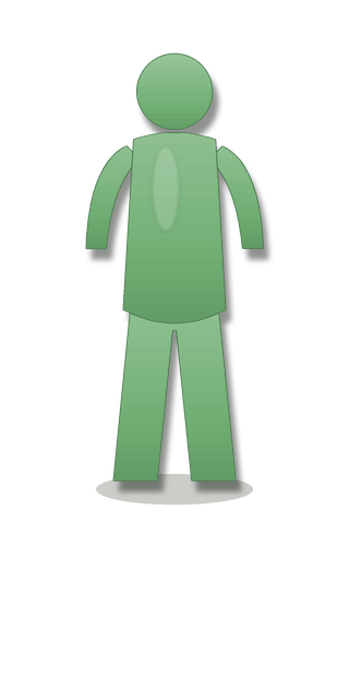 Body type illustration
